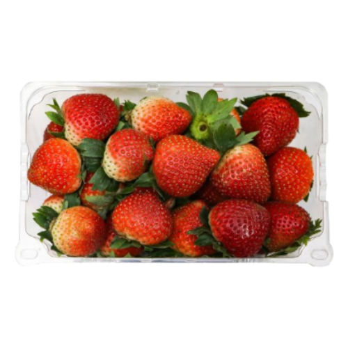 فراولة امريكي باكيت صغير